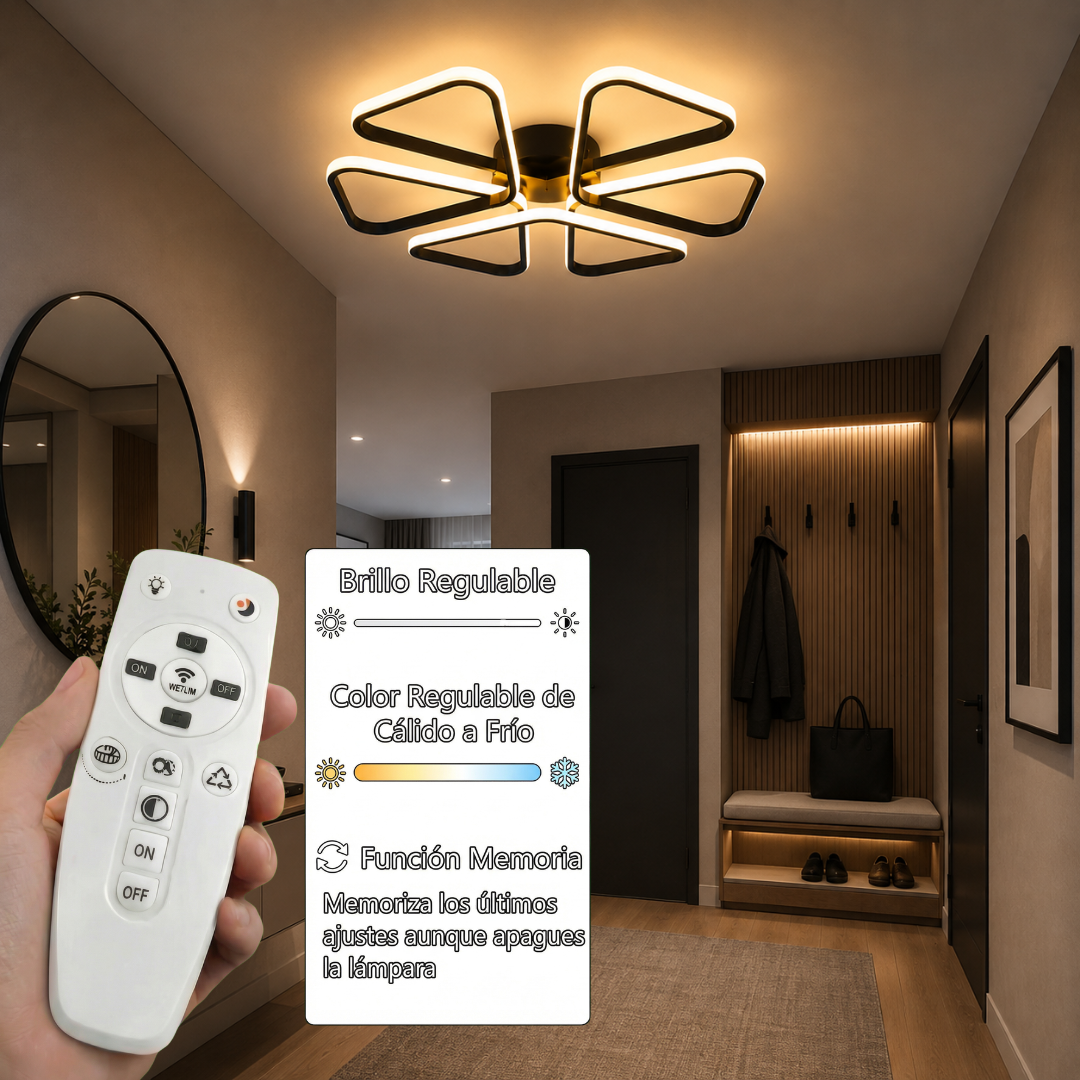 Lámpara de techo LED LOOP Negra | FL6016-C