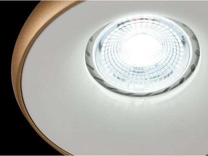 Foco empotrado DOWNLIGHT LP973